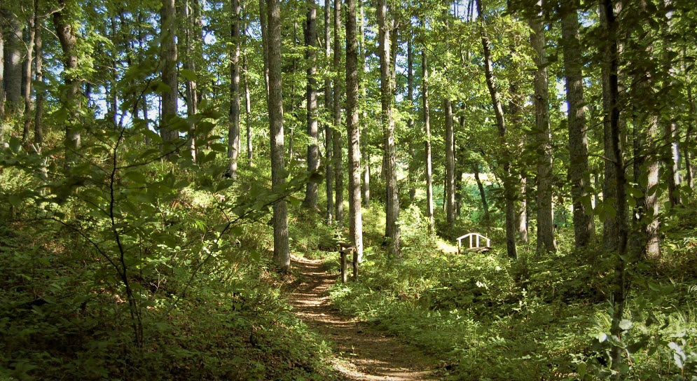 University of Tennessee Arboretum, Oak Ridge, United States